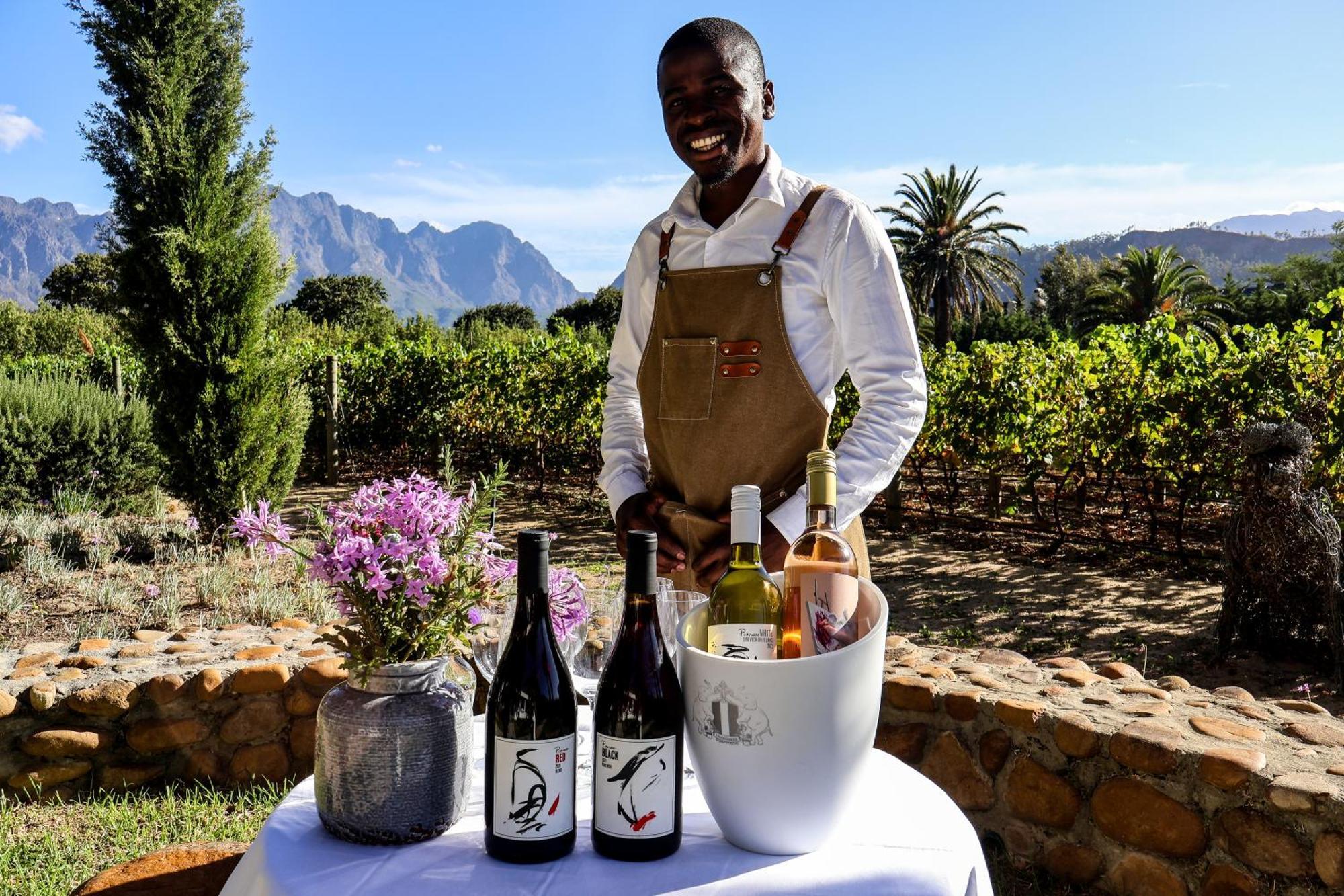 La Villa Franschhoek Ngoại thất bức ảnh