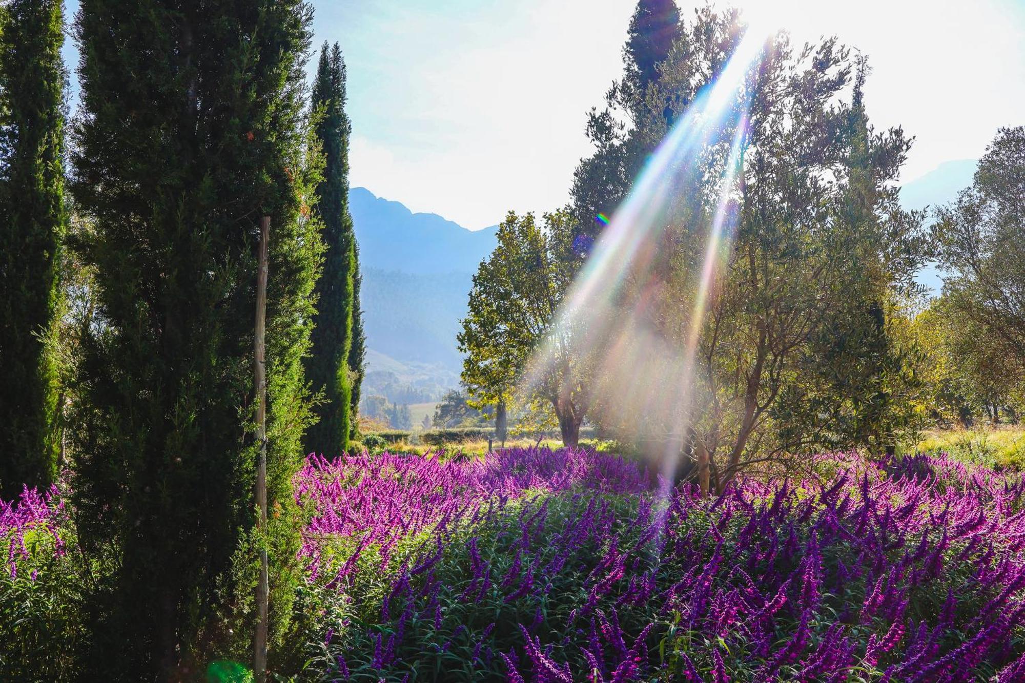 La Villa Franschhoek Ngoại thất bức ảnh